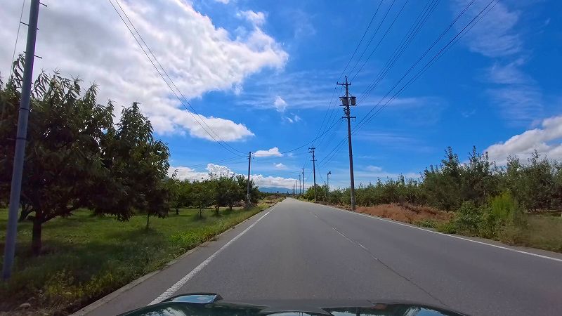北信濃くだもの街道